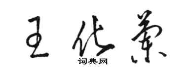 駱恆光王化蘭草書個性簽名怎么寫