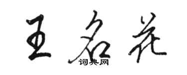 駱恆光王名花行書個性簽名怎么寫