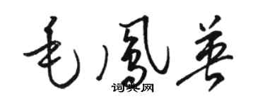 駱恆光毛鳳英草書個性簽名怎么寫