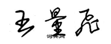 朱錫榮王量飛草書個性簽名怎么寫