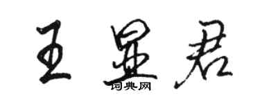 駱恆光王顯君行書個性簽名怎么寫