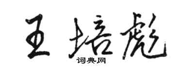 駱恆光王培彪行書個性簽名怎么寫