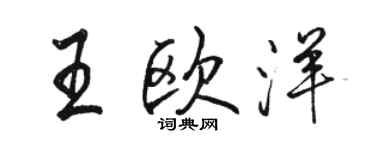 駱恆光王歐洋行書個性簽名怎么寫
