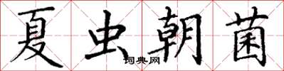 丁謙夏蟲朝菌楷書怎么寫