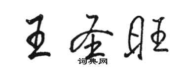 駱恆光王聖旺行書個性簽名怎么寫