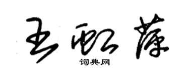 朱錫榮王虹萍草書個性簽名怎么寫