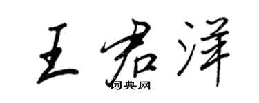 王正良王君洋行書個性簽名怎么寫