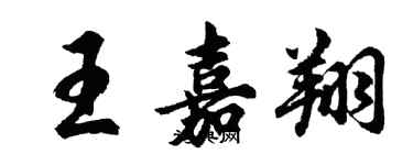 胡問遂王嘉翔行書個性簽名怎么寫