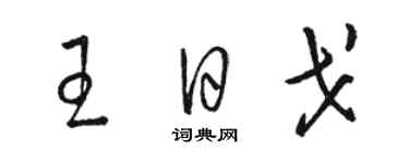 駱恆光王日戈草書個性簽名怎么寫