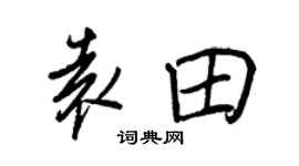 王正良袁田行書個性簽名怎么寫
