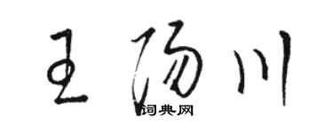 駱恆光王陽川草書個性簽名怎么寫
