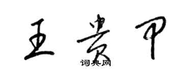 梁錦英王貴甲草書個性簽名怎么寫