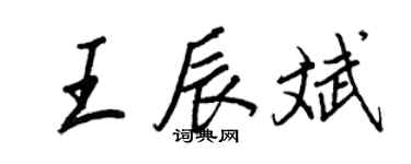王正良王辰斌行書個性簽名怎么寫