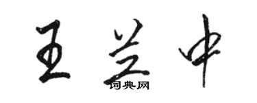 駱恆光王蘭中行書個性簽名怎么寫