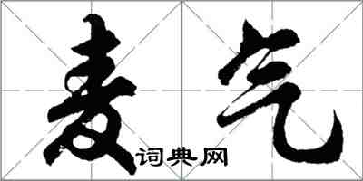 胡問遂麥氣行書怎么寫