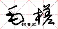 朱錫榮毛槎草書怎么寫