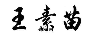 胡問遂王素苗行書個性簽名怎么寫