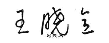 駱恆光王曉意草書個性簽名怎么寫