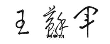 駱恆光王蘇軍草書個性簽名怎么寫