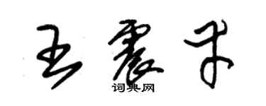 朱錫榮王震幸草書個性簽名怎么寫