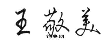 駱恆光王敬美行書個性簽名怎么寫