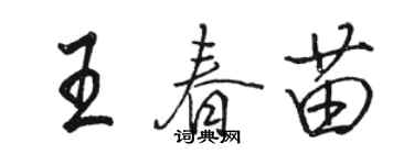 駱恆光王春苗行書個性簽名怎么寫