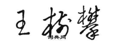 駱恆光王樹攀草書個性簽名怎么寫