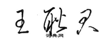 駱恆光王耿君草書個性簽名怎么寫