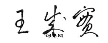 駱恆光王成實草書個性簽名怎么寫