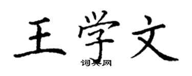 丁謙王學文楷書個性簽名怎么寫
