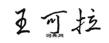 駱恆光王可拉行書個性簽名怎么寫