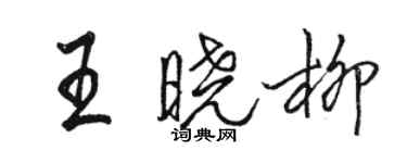 駱恆光王曉柳行書個性簽名怎么寫