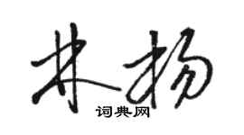 駱恆光林楊草書個性簽名怎么寫