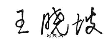 駱恆光王曉坡草書個性簽名怎么寫