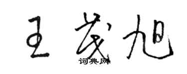 駱恆光王茂旭草書個性簽名怎么寫