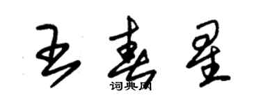 朱錫榮王春星草書個性簽名怎么寫