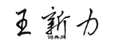 駱恆光王新力行書個性簽名怎么寫