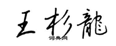 王正良王杉龍行書個性簽名怎么寫