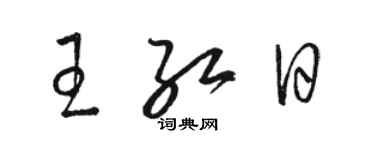 駱恆光王紅日草書個性簽名怎么寫