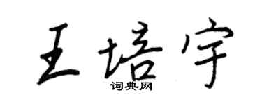 王正良王培宇行書個性簽名怎么寫