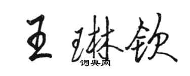 駱恆光王琳欽行書個性簽名怎么寫