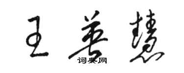 駱恆光王英慧草書個性簽名怎么寫