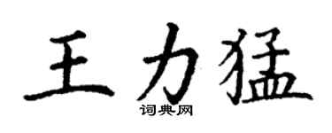 丁謙王力猛楷書個性簽名怎么寫