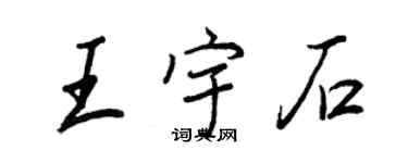 王正良王宇石行書個性簽名怎么寫