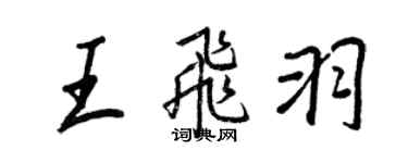 王正良王飛羽行書個性簽名怎么寫