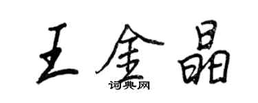 王正良王金晶行書個性簽名怎么寫