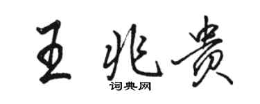 駱恆光王兆貴行書個性簽名怎么寫