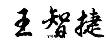 胡問遂王智捷行書個性簽名怎么寫