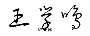 曾慶福王學鳴草書個性簽名怎么寫