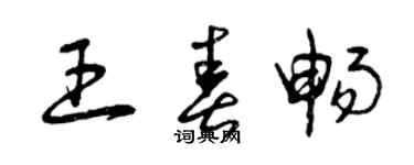 曾慶福王春暢草書個性簽名怎么寫